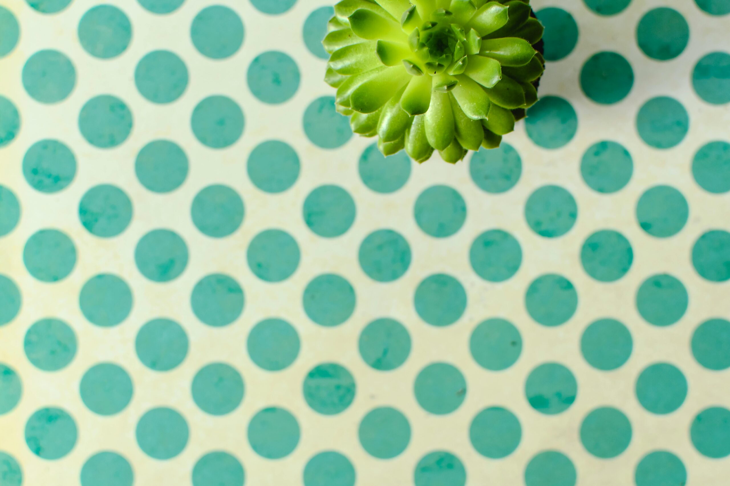 Fact: Admiring beauty is healthy for your brain